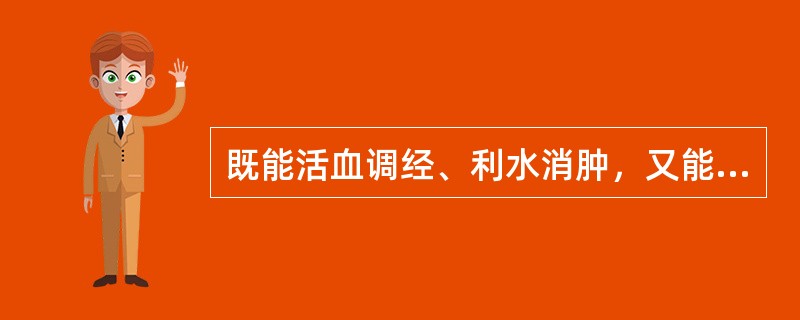 既能活血调经、利水消肿，又能清热解毒的是（）