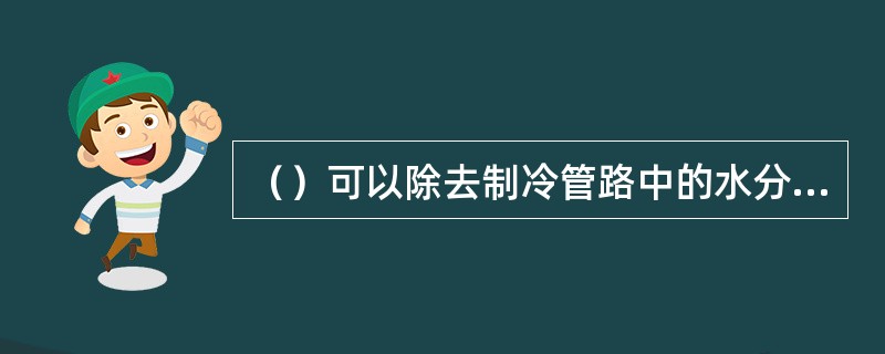 （）可以除去制冷管路中的水分和污物。