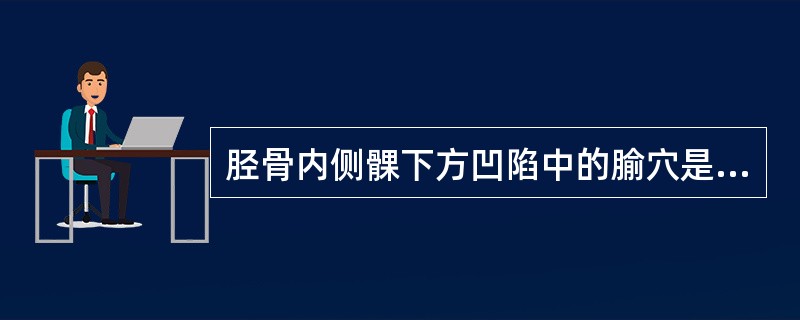 胫骨内侧髁下方凹陷中的腧穴是（）