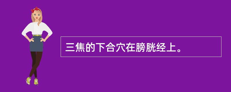 三焦的下合穴在膀胱经上。