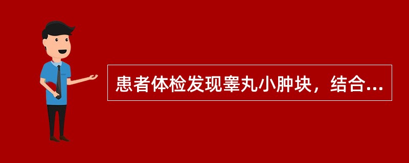 患者体检发现睾丸小肿块，结合超声图像，最可能的诊断是()