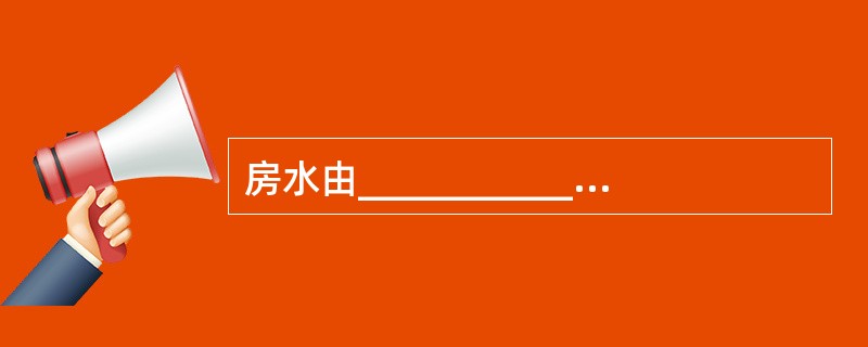 房水由___________产生，自眼后房经瞳瞳孔到眼前房，经虹膜角膜角隙入__