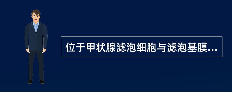 位于甲状腺滤泡细胞与滤泡基膜之间的细胞称为C细胞或滤泡旁细胞，它分泌什么物质()