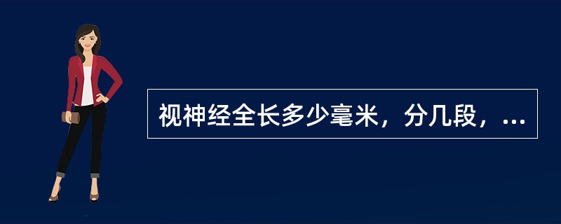 视神经全长多少毫米，分几段，超声检测可显示哪几段()