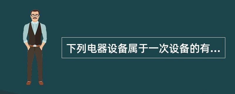 下列电器设备属于一次设备的有（）。