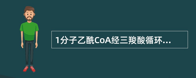 1分子乙酰CoA经三羧酸循环氧化后产物()