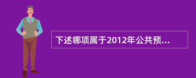 下述哪项属于2012年公共预算三公经费和会议费支出录入表中新增内容（）。