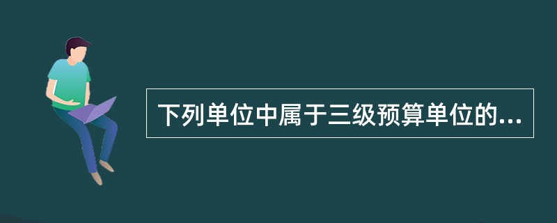 下列单位中属于三级预算单位的是（）。