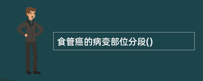 食管癌的病变部位分段()