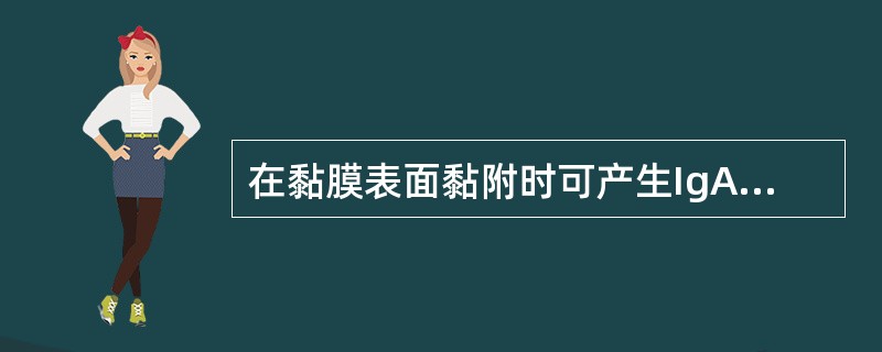 在黏膜表面黏附时可产生IgA蛋白酶的细菌是（）。