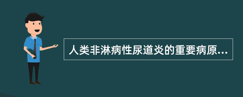 人类非淋病性尿道炎的重要病原体是（）。