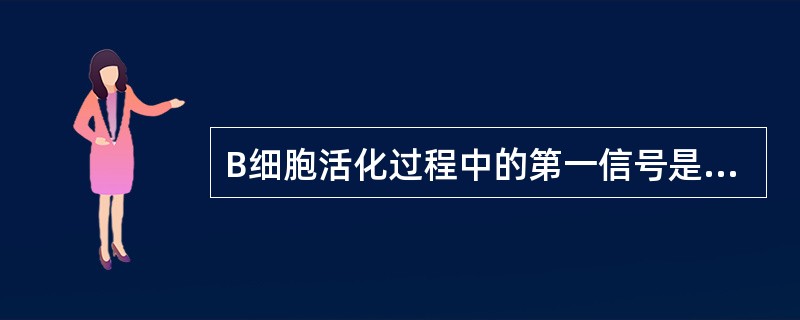B细胞活化过程中的第一信号是（）。