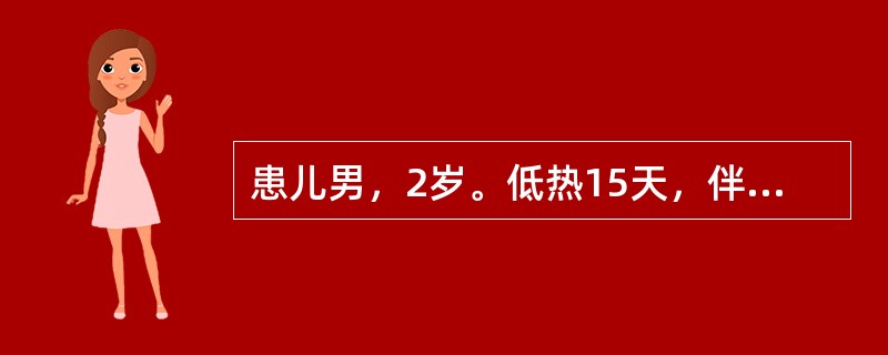 患儿男，2岁。低热15天，伴盗汗、消瘦、轻咳10天。胸部X线透视呈"双极影"，即