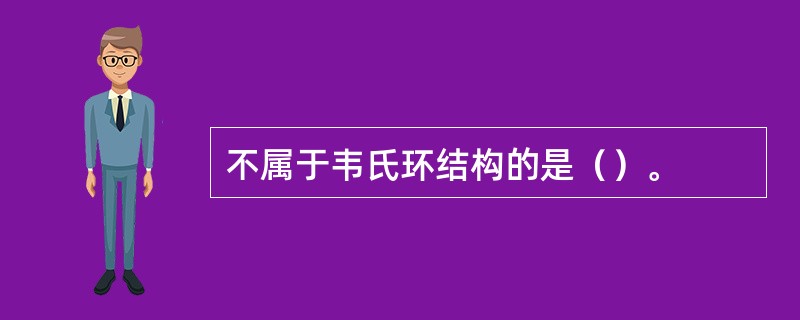 不属于韦氏环结构的是（）。