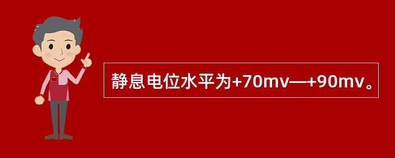 静息电位水平为+70mv—+90mv。