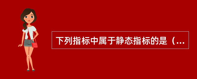 下列指标中属于静态指标的是（）。