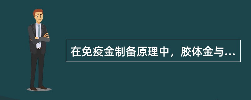 在免疫金制备原理中，胶体金与蛋白质结合力为（）