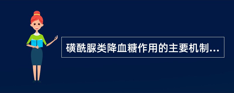 磺酰脲类降血糖作用的主要机制是（）