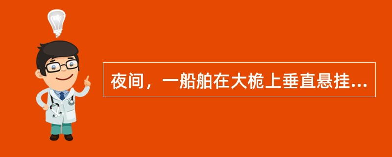 夜间，一船舶在大桅上垂直悬挂两盏环照红灯，该船为（）