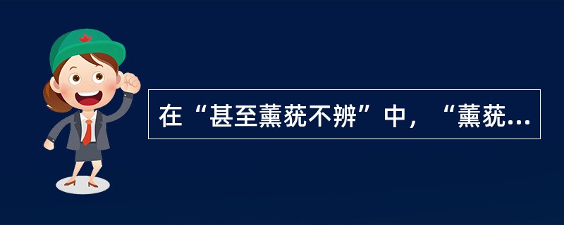 在“甚至薰莸不辨”中，“薰莸”为比喻医生的（）