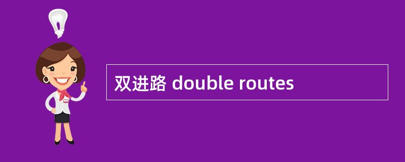 双进路 double routes