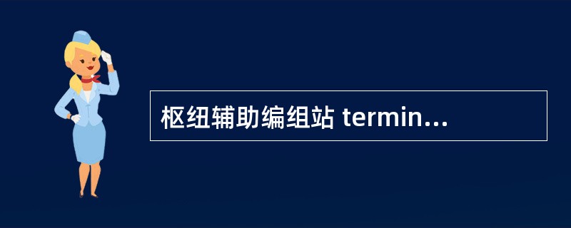 枢纽辅助编组站 terminal auxiliary marshalling s