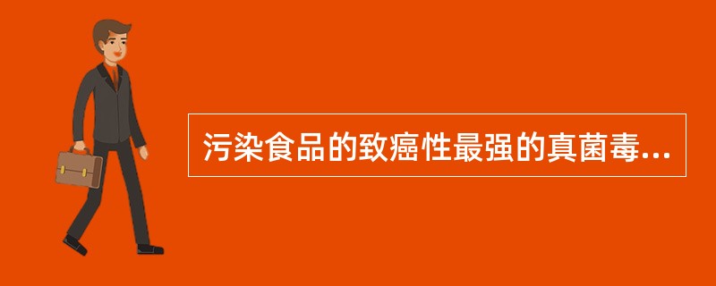 污染食品的致癌性最强的真菌毒素是（）。