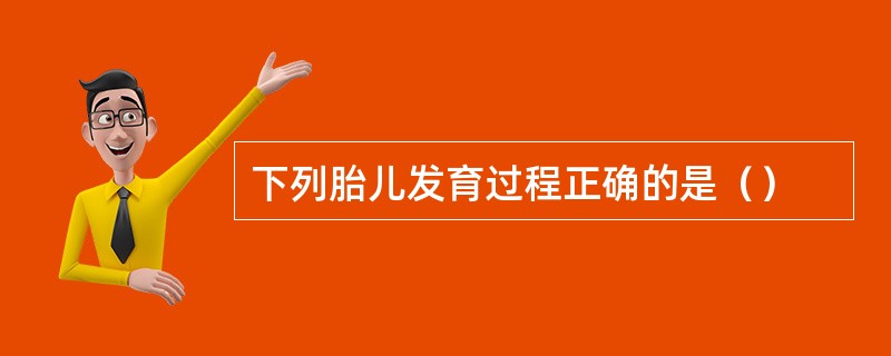 下列胎儿发育过程正确的是（）