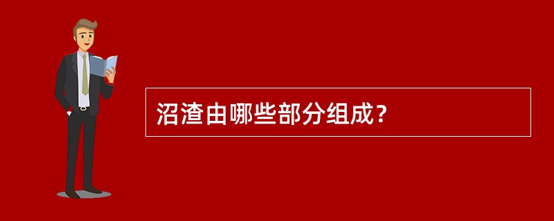 沼渣由哪些部分组成？