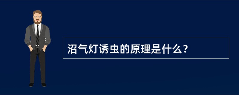 沼气灯诱虫的原理是什么？