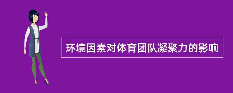 环境因素对体育团队凝聚力的影响