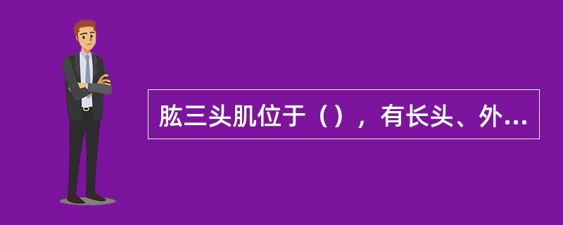 肱三头肌位于（），有长头、外侧头、内侧头三个头组成。