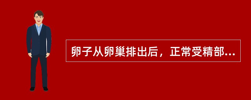 卵子从卵巢排出后，正常受精部位在（）。