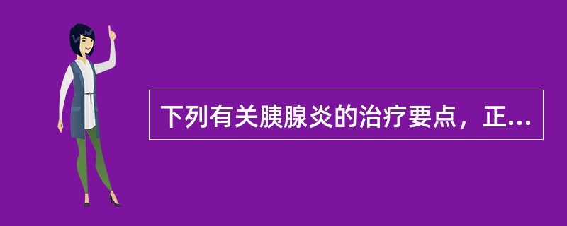 下列有关胰腺炎的治疗要点，正确的是（）。