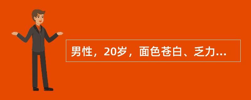 男性，20岁，面色苍白、乏力3个月；体格检查：皮肤可见散在性出血点，浅表淋巴结不