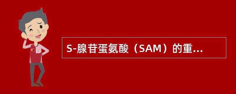 S-腺苷蛋氨酸（SAM）的重要作用是（）