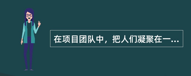 在项目团队中，把人们凝聚在一起的因素是（）。