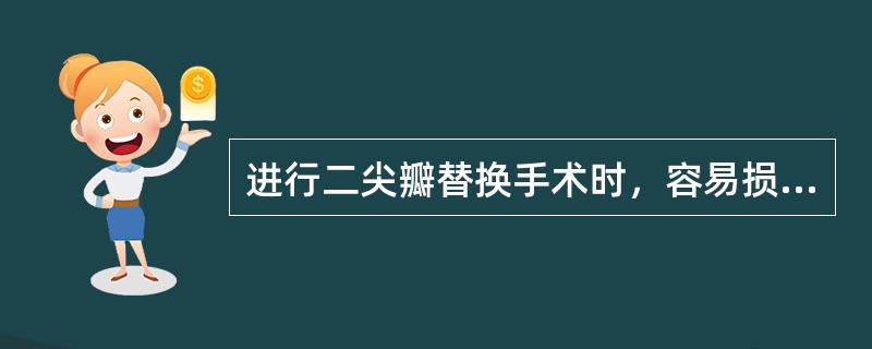 进行二尖瓣替换手术时，容易损伤哪支冠状动脉（）.