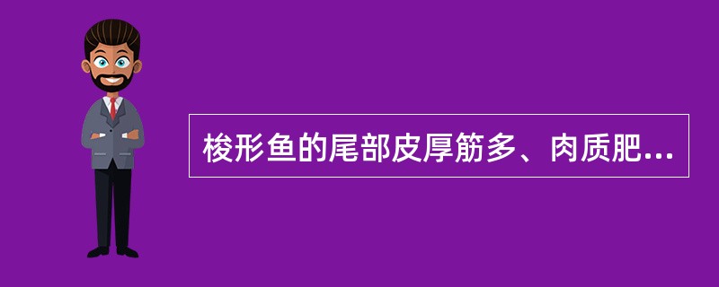梭形鱼的尾部皮厚筋多、肉质肥美，含丰富的（）。