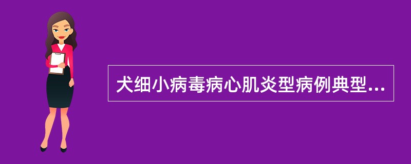 犬细小病毒病心肌炎型病例典型病理变化特征是（）