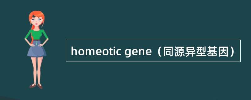 homeotic gene（同源异型基因）