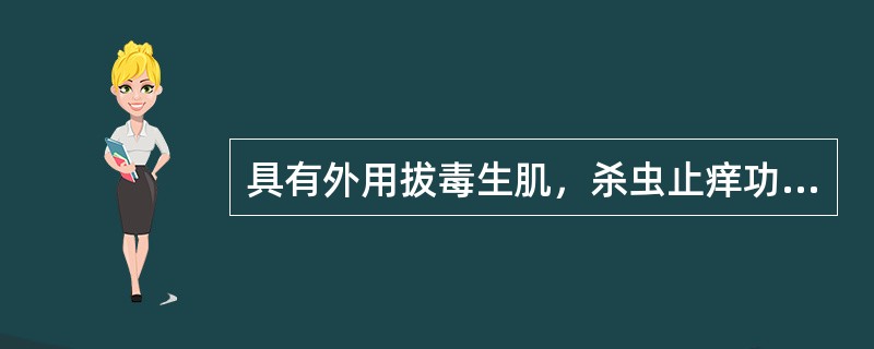 具有外用拔毒生肌，杀虫止痒功效的药物是（）