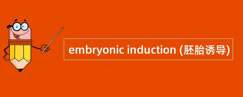 embryonic induction (胚胎诱导)