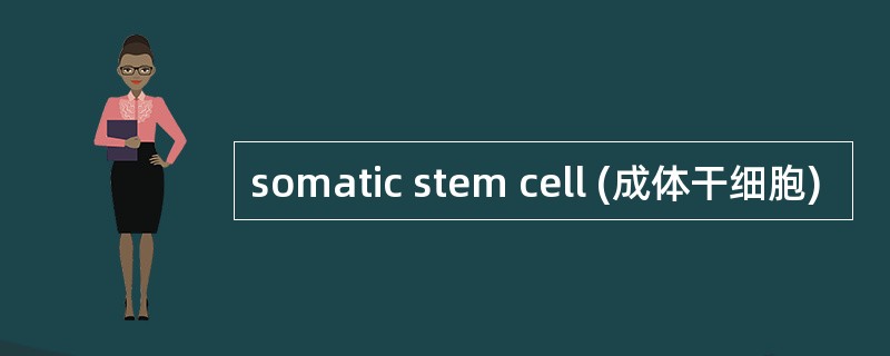 somatic stem cell (成体干细胞)