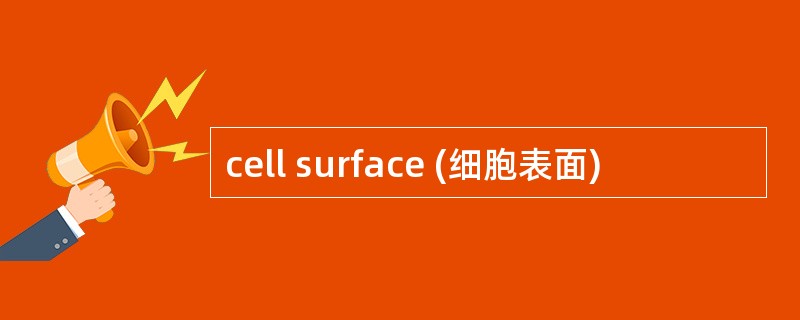 cell surface (细胞表面)