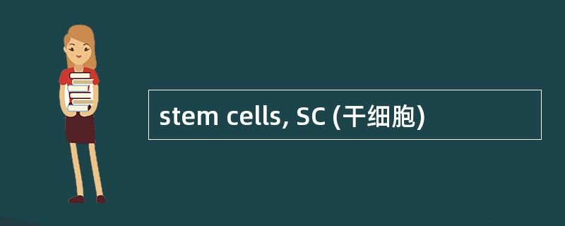 stem cells, SC (干细胞)