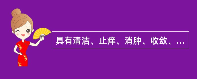 具有清洁、止痒、消肿、收敛、清热解毒作用的外用剂型是：（）。