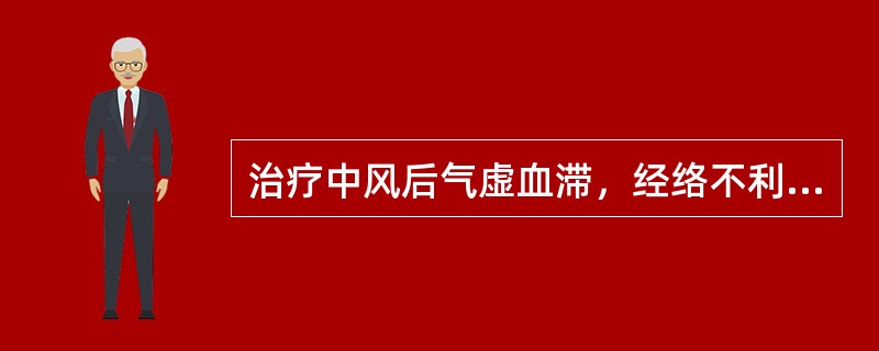 治疗中风后气虚血滞，经络不利之半身不遂，口眼歪斜者宜选用（）