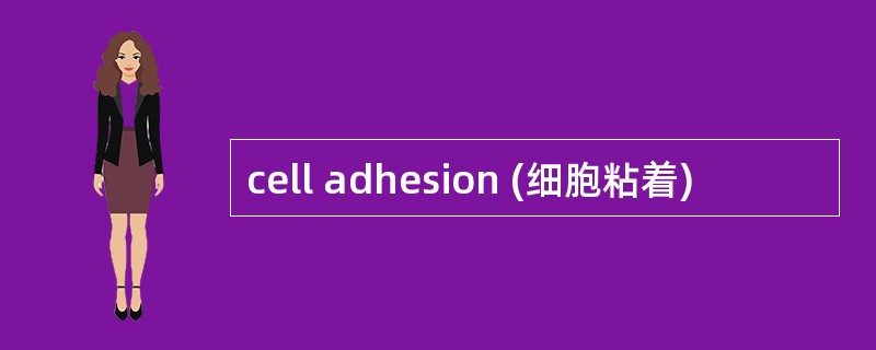 cell adhesion (细胞粘着)