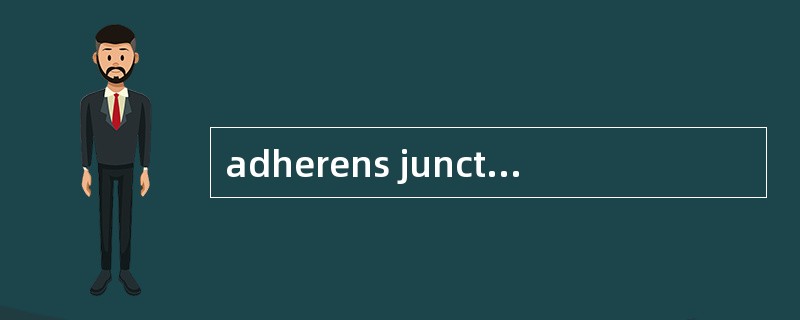 adherens junctions, zonula adherens（粘着连接